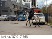 Священник в рясе и папахе едет верхом на коне мимо припаркованных автомобилей по городской весенней улице. Красноярск. Россия. (2021 год). Редакционное фото, фотограф Светлана Попова / Фотобанк Лори
