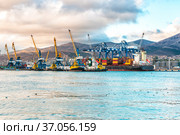 Commercial Sea port of Novorossiysk. Стоковое фото, фотограф Владимир Ушаров / Фотобанк Лори