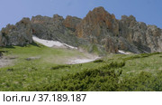Северный Кавказ, гора Оштен. Кавказские серны на склоне горы. North Caucasus, Mount Oshten. Caucasian chamois (Rupicapra rupicapra caucasica) on the mountainside. (2021 год). Редакционное видео, видеограф Евгений Романов / Фотобанк Лори