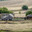 Rural landscape, courtyard on the edge of the village. Russia, Orenburg region, farm Arapovka. Стоковое фото, фотограф Вадим Орлов / Фотобанк Лори