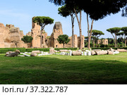 Scenic view of Terme di Caracalla in Rome. Umbrella pines in vast around ruins (2013 год). Стоковое фото, фотограф Ирина Мойсеева / Фотобанк Лори