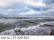 Берег Балтийского моря в районе Зеленоградска. Калининградская область (2021 год). Стоковое фото, фотограф Сергей Афанасьев / Фотобанк Лори