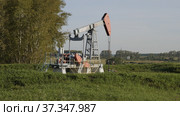 Operating oil and gas well in oil field, profiled against the blue sky. Стоковое фото, фотограф Фотограф / Фотобанк Лори
