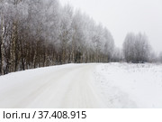 Russian rural road covered with white snow. Стоковое фото, фотограф Александр Клёнов / Фотобанк Лори