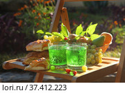 Тархун с выпечкой и фруктами. Стоковое фото, фотограф Марина Володько / Фотобанк Лори