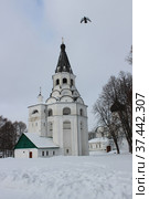 Распятская церковь-колокольня в Александровской слободе. Город Александров Владимирской области (2018 год). Редакционное фото, фотограф Елена Орлова / Фотобанк Лори