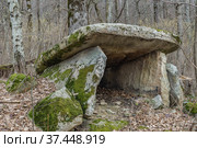 Краснодарский край, Туапсинский район, частично разрушенный дольмен в окрестностях аула Большое Псеушхо (2019 год). Стоковое фото, фотограф glokaya_kuzdra / Фотобанк Лори