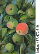 Wild apples on the branch, oil painting. Стоковая иллюстрация, иллюстратор Aleksandra Serova / Фотобанк Лори