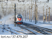 Скоростной поезд ЭВС1-15 «Сапсан» декабрьским днем. Окрестности Санкт-Петербурга (2021 год). Редакционное фото, фотограф Виктор Карасев / Фотобанк Лори