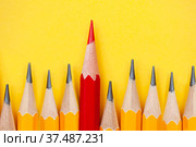 Концепция лидерства. Красный карандаш выделяется из группы других карандашей на желтом фоне. Лидерство, независимость, уникальность, инициатива, стратегия. Стоковое фото, фотограф Васильева Юлия / Фотобанк Лори