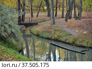 Pond with wooden bridge to island of cascade of ponds in natural historical, architectural and recreational complex "Vorontsovo Estate" of 18th century, Vorontsov Park in autumn, Moscow, Russia (2021 год). Стоковое фото, фотограф Алексей Антипов / Фотобанк Лори
