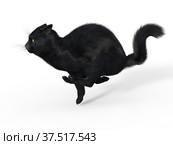 3d render of a charming realistic domestic cat isolated on white. Стоковая иллюстрация, иллюстратор Вероника Суровцева / Фотобанк Лори