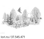 Весенняя тяга. Стоковая иллюстрация, иллюстратор Марина Чистякова / Фотобанк Лори