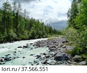 Горный Алтай. Река Аккем. Стоковое фото, фотограф Галина Савина / Фотобанк Лори