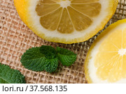 Cut lemon close-up. Стоковое фото, фотограф Владимир Белобаба / Фотобанк Лори