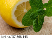 Cut lemon close-up. Стоковое фото, фотограф Владимир Белобаба / Фотобанк Лори