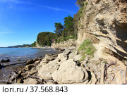 View of the coast of the Pitsundo-Mussera Nature Reserve In Abkhazia (2021 год). Редакционное фото, фотограф Александр Карпенко / Фотобанк Лори