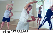 Energetic elderly woman practicing modern vigorous dance movements in group dance class. Стоковое видео, видеограф Яков Филимонов / Фотобанк Лори