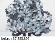 Calcite celadonite. Structure of a calcite minaral. Close-up, texture. Стоковое фото, фотограф Дина Дамоцева / Фотобанк Лори