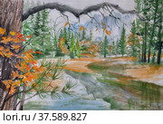 Autumn forest with a river, coniferous forest in far away and red foliage in the foreground. Original watercolor painting on rice paper. Стоковая иллюстрация, иллюстратор Вероника Суровцева / Фотобанк Лори