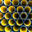 Plastic pipes production plant warehouse. Yellow PVC channelled pipes. Стоковое фото, фотограф Alexey Rezvykh / Фотобанк Лори