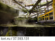 Sulphuric (sulfuric) acid workshop. Phosphoric fertilizers factory. Стоковое фото, фотограф Alexey Rezvykh / Фотобанк Лори