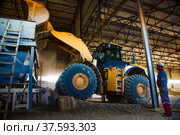 Phosphate fertilizers plant. Caterpillar excavator (bulldozer) loading raw materials (minerals) in machine hopper loader for processing. (2012 год). Редакционное фото, фотограф Alexey Rezvykh / Фотобанк Лори