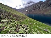 Озеро Кынгыр-Чад, Красный Карачай, КЧР. Стоковое фото, фотограф Оглоблин Андрей Николаевич / Фотобанк Лори