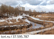 Муринский ручей. Муринский Парк. Санкт-Петербург (2022 год). Стоковое фото, фотограф Сергей Афанасьев / Фотобанк Лори