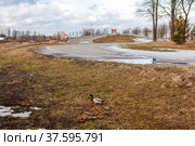 Утки и лыжероллерная трасса. Муринский Парк. Санкт-Петербург (2022 год). Стоковое фото, фотограф Сергей Афанасьев / Фотобанк Лори