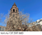 Колокольня церкви Николая Чудотворца в Новой слободе. Россия, город Москва, улица Долгоруковская, 25 (2022 год). Стоковое фото, фотограф Овчинникова Ирина / Фотобанк Лори