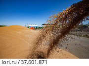 Grain winnower machine for wheat grain. Spring sowing campaign. Стоковое фото, фотограф Alexey Rezvykh / Фотобанк Лори