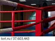 Boxing ring of fighting club Excalibur. (2022 год). Редакционное фото, фотограф Сергей Пристяжнюк (Serg Zastavkin) / Фотобанк Лори