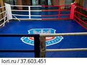 Boxing ring of fighting club Excalibur. (2022 год). Редакционное фото, фотограф Сергей Пристяжнюк (Serg Zastavkin) / Фотобанк Лори