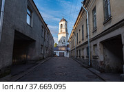 Выборгская часовая башня. Колокольня Выборгского собора, разрушенная во время советско-финляндской войны. Выборг, Россия (2021 год). Стоковое фото, фотограф Дымов Игорь / Фотобанк Лори