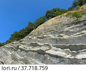 Слоистые скалы в Бетте, Краснодарский край (2021 год). Стоковое фото, фотограф Мария Кылосова / Фотобанк Лори