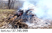 Burning dry grass and garbage in a garden plot. Spring work in the garden. Site preparation in the spring. Стоковое видео, видеограф Лилия Фролова / Фотобанк Лори