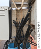 Bare cut fiber optics cablesAl. Стоковое фото, фотограф Александр Подшивалов / Фотобанк Лори