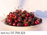 Спелая сочная крупная ароматная черешня на тарелке. Ripe juicy large fragrant cherries on a plate. Стоковое фото, фотограф Мария / Фотобанк Лори