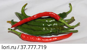 Spicy chili. Astrakhan pepper. Стоковое фото, фотограф Елена Бобкова / Фотобанк Лори