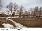 Spring, April.You walk along the streets, look around, admire the silhouettes and shapes of trees.While they are standing without foliage, the depth of space is visible. Стоковое фото, фотограф жуковский михаил александрович / Фотобанк Лори