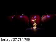 Огрызок яблока. Концепция: жизненный цикл. Стоковое фото, фотограф Виталий Михайлюк / Фотобанк Лори