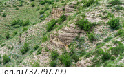 Landscape of a mountain slope with weathered rocks and screes covered with shrubs. Стоковое фото, фотограф Евгений Харитонов / Фотобанк Лори