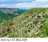 Landscape with slopes of a mountain valley with weathered rocks and screes covered with shrubs. Стоковое фото, фотограф Евгений Харитонов / Фотобанк Лори