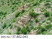 Landscape of a mountain slope with weathered rocks and screes covered with shrubs. Стоковое фото, фотограф Евгений Харитонов / Фотобанк Лори