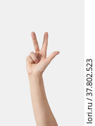 Thee fingers, female inner palm. Стоковое фото, фотограф Ярослав Данильченко / Фотобанк Лори