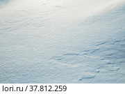 Texture of fresh snow. Стоковое фото, фотограф Юлия Бабкина / Фотобанк Лори