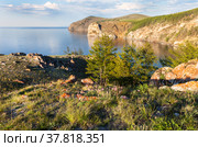 Baikal Lake in summer. Beautiful calm landscape of the coast of Olkhon Island with the rocks of Cape Three Brothers at sunset. Natural background. Summer holidays and travel. Стоковое фото, фотограф Виктория Катьянова / Фотобанк Лори
