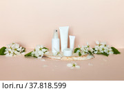 Natural beauty anti-aging products for face and hand skin care with sunscreen on birch wood podium with fresh apple tree flowers on light beige pastel background. Advertising of spring and summer cosmetics. Стоковое фото, фотограф Виктория Катьянова / Фотобанк Лори