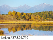 Beautiful autumn landscape with a reflection in the water of yellowed meadow, bright colored forest and mountains on sunny September day. Siberia, Sayan Mountains, Buryatia, Tunka valley. Стоковое фото, фотограф Виктория Катьянова / Фотобанк Лори